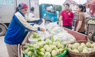 Nghĩa Phương - Ngọt ngào mùa quả chín