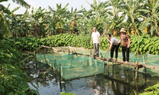 Bắc Ninh: Bổ sung 400 tỷ đồng nguồn vốn tín dụng chính sách