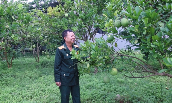 Đảng viên - thương binh Trần Văn Hiền: Gương mẫu, làm kinh tế giỏi