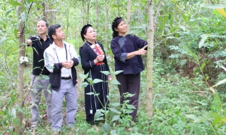 Động lực cho vùng khó ở Bắc Ninh phát triển