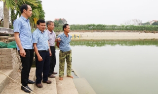 Bắc Ninh tăng cường ứng dụng kỹ thuật trong nuôi thủy sản