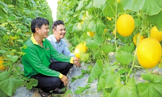 Bảo Đài: Chung sức, đồng lòng dựng xây quê hương
