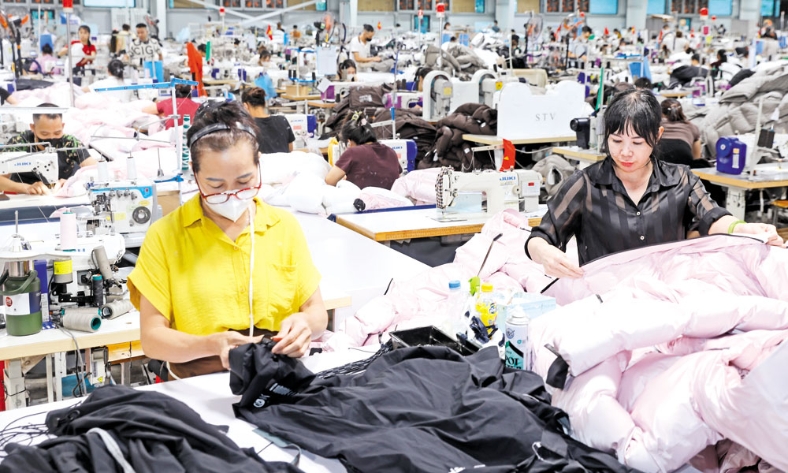  Lục Nam gắn tăng trưởng kinh tế với bảo đảm an sinh xã hội