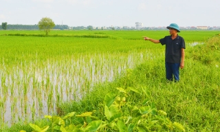 “Rõ người, rõ việc” để đồng ruộng không bỏ hoang