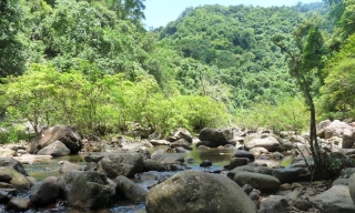 Bắc Ninh: Hơn 153 tỷ đồng thực hiện Phương án quản lý rừng bền vững Khu bảo tồn Tây Yên Tử