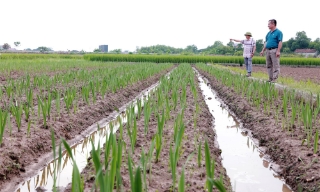 Rõ người, rõ việc trong phong trào “Dân vận khéo”