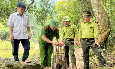  Bắc Ninh cần một nơi cứu hộ động vật hoang dã