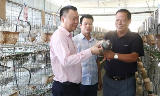 Bắc Ninh: Tín dụng ưu đãi tiếp sức đồng bào dân tộc thiểu số