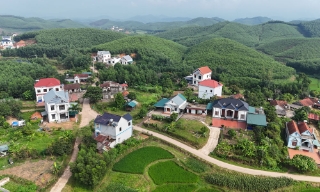 Sức sống mới giữa ngàn xanh