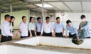 Bắc Ninh: Mở rộng liên kết, nâng giá trị nông sản