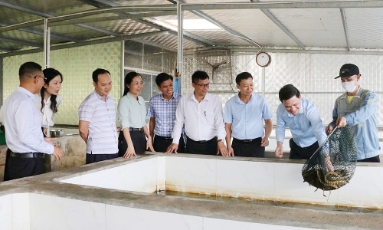  Bắc Ninh: Mở rộng liên kết, nâng giá trị nông sản