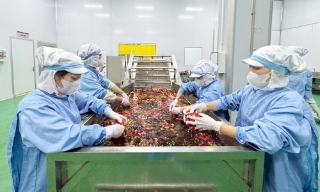 Bắc Ninh: Chế biến sâu để nông sản tăng giá trị