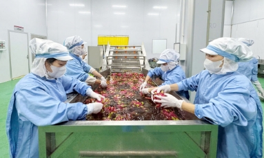  Bắc Ninh: Chế biến sâu để nông sản tăng giá trị