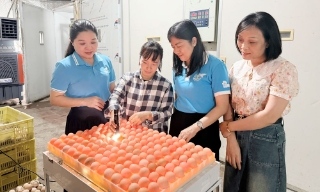 Bắc Ninh: Mở rộng cơ hội cho phụ nữ khởi nghiệp