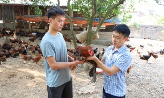 Từng bước thay đổi nhận thức về phúc lợi động vật