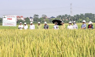 Điểm tựa xây dựng nông thôn mới
