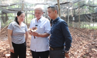 Nhà khoa học giúp nông dân trồng nấm quý