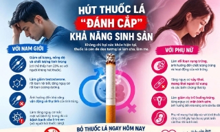Thuốc lá đe dọa khả năng sinh sản của cả nam và nữ