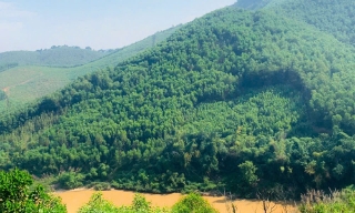 Mỏ khoáng sản: Cấp phép nhiều, hoạt động ít