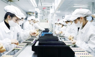 Phát triển doanh nghiệp Việt trong chuỗi cung ứng toàn cầu: Kỳ 1: Tiên phong mở lối