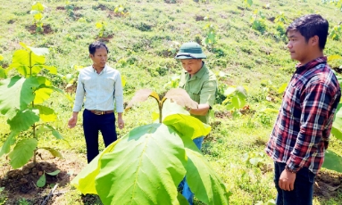  Bắc Ninh: Dồn lực giải các bài toán lớn về khoa học, công nghệ