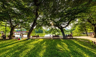 Thời tiết Bắc Ninh đêm 15, ngày 16/10: Gió Đông cấp 2