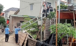 Bắc Ninh: Tăng năng lực xử phạt vi phạm đất đai  