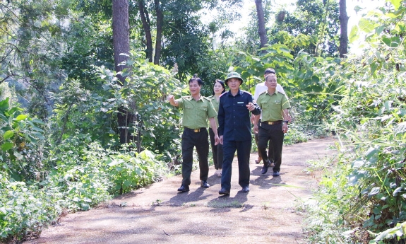 Bắc Ninh: Chung sức giữ màu xanh cho rừng