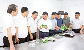 Phát triển kinh tế tập thể - cơ hội mới, thách thức lớn. Kỳ 1: Thay đổi thực chất, hiệu quả hơn