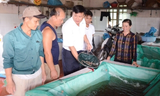 Bắc Ninh: Ứng dụng công nghệ cao sản xuất giống thủy sản