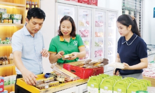 Phát triển kinh tế tập thể - cơ hội mới, thách thức lớn. Kỳ 2: Những điểm nghẽn