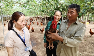 Bắc Ninh: Chăn nuôi an toàn, bảo đảm nguồn cung thực phẩm