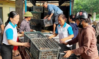 Bắc Ninh: Sử dụng hiệu quả nguồn lực để giảm nghèo bền vững