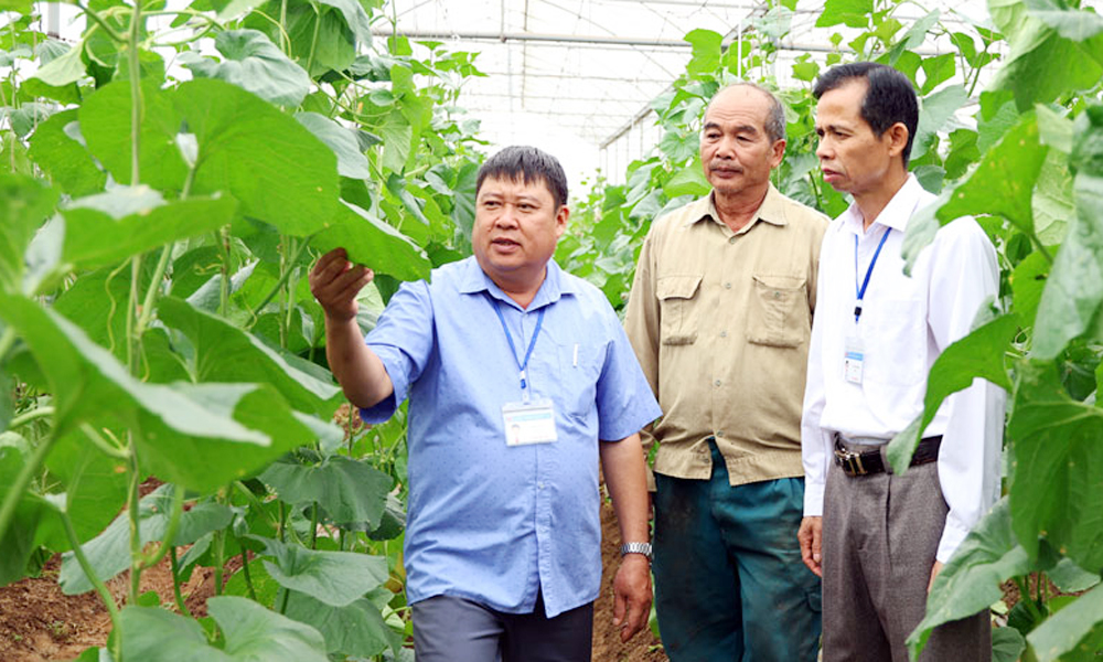 Thực hiện chính sách "tam nông": Nâng giá trị sản xuất nông nghiệp