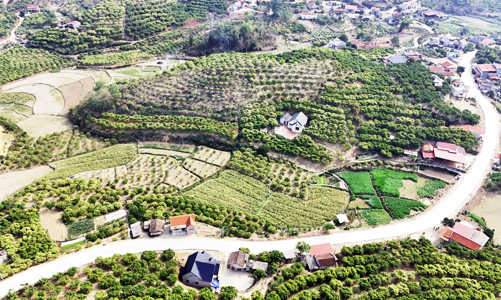 Lục Ngạn: Từng bước hoàn thiện hạ tầng giao thông vùng dân tộc thiểu số