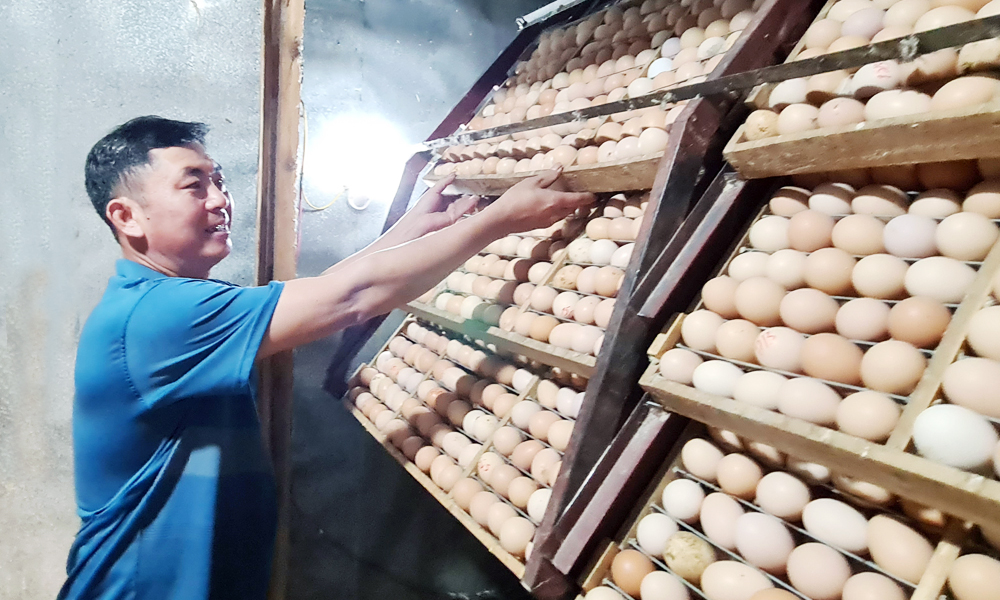 Phó Bí thư Chi bộ Bùi Văn Hưng: Nhiệm vụ nào cũng hoàn thành 