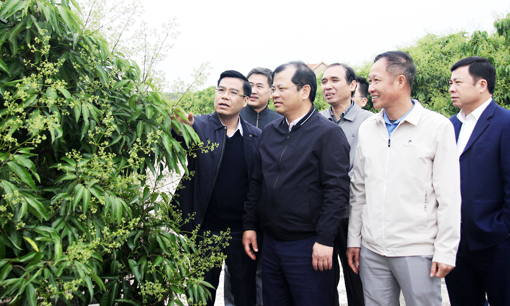 Vị ngọt thôn Muối
