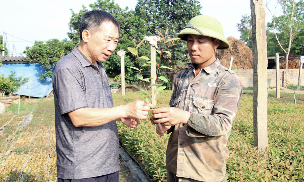 Người cao tuổi huyện Yên Thế nêu gương sáng, làm kinh tế giỏi