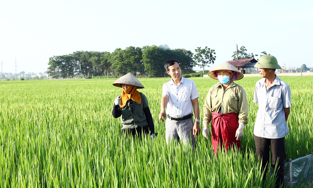 Những hạt nhân tiêu biểu trên quê hương cách mạng