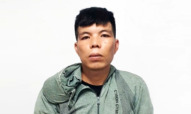  Nhịp sống