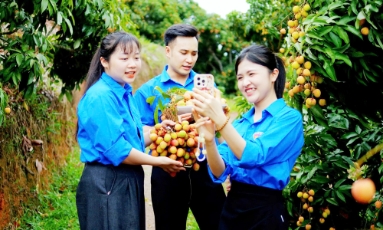  Điểm đến