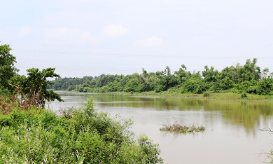 Nhịp sống