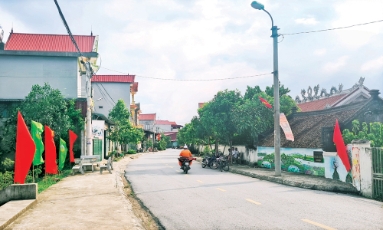  Nhịp sống