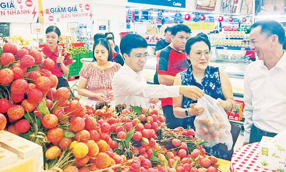Nhiều giải pháp sáng tạo trong xúc tiến tiêu thụ vải thiều