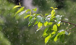 Dự báo thời tiết Bắc Ninh đêm 1, ngày 2/7