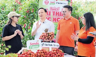 Ứng dụng công nghệ quảng bá nông sản Việt