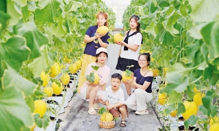 Thêm cơ hội phát triển du lịch nông nghiệp, nông thôn