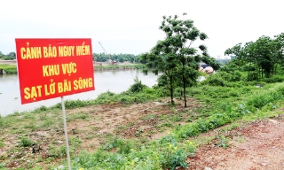 Khẩn trương xử lý sự cố sạt lở bờ, bãi sông khu vực đê tả Cầu, xã Hợp Thịnh