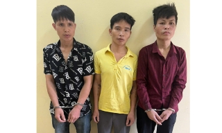 Bắc Ninh: Tìm ra thủ phạm trộm cắp số lượng lớn dây cáp điện trong khu công nghiệp