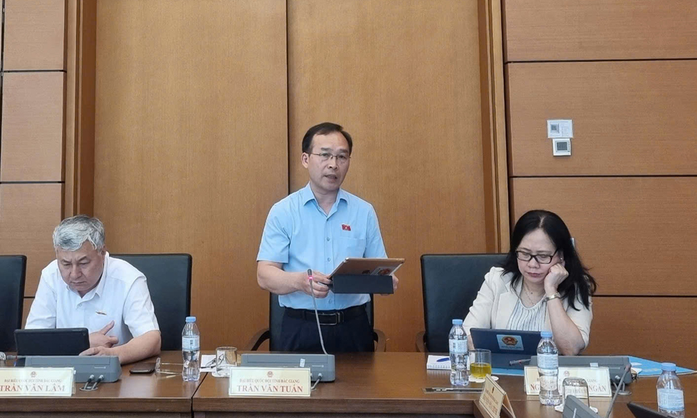 Đoàn Bắc Giang thảo luận tại tổ về một số dự thảo luật